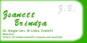 zsanett brindza business card